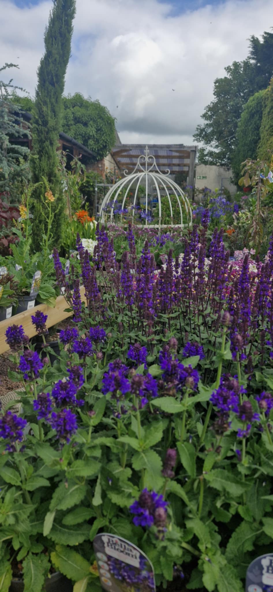 Glenavy Garden Centre
