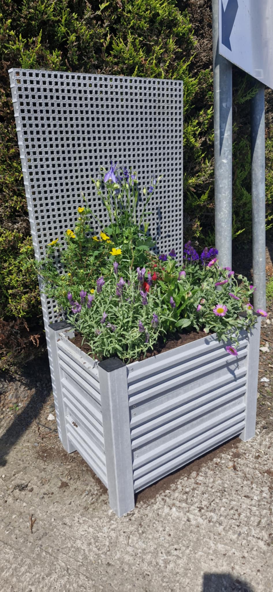 relinea grp planter