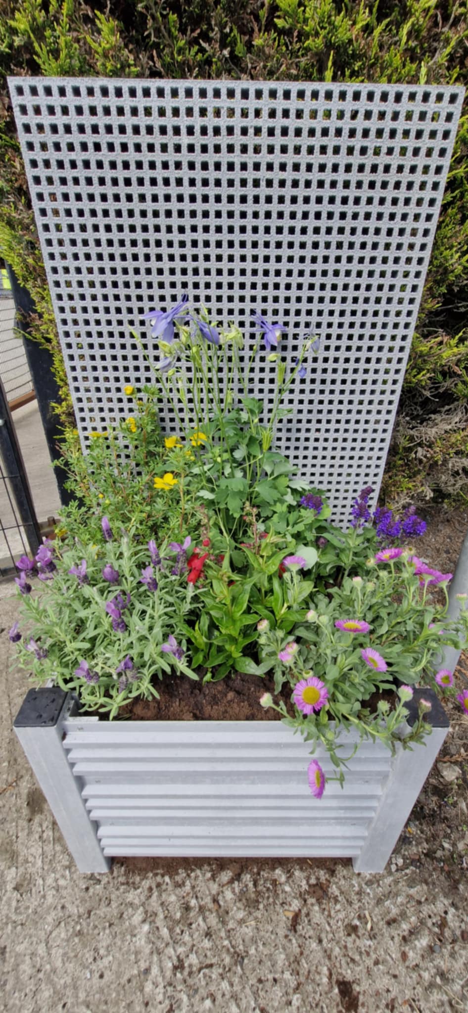 Relinea GRP Planter