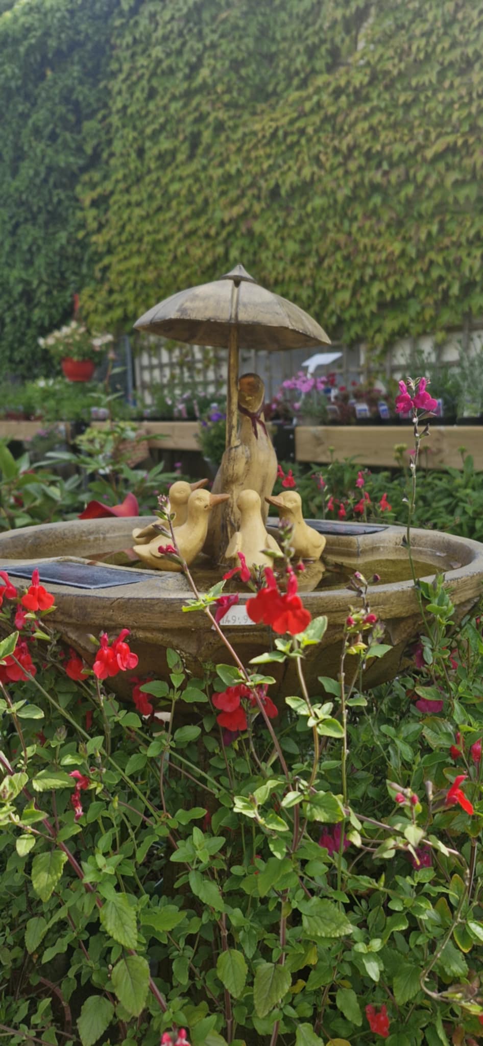 Glenavy Garden Centre