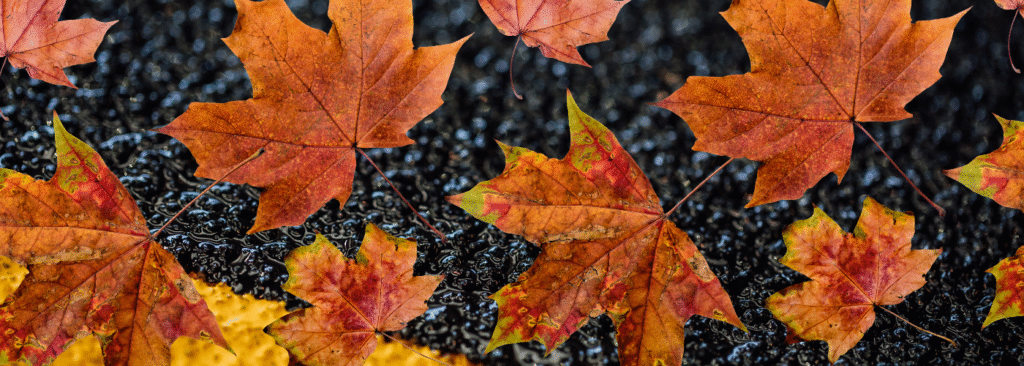 Winter-Proofing with GRP How Autumn Maintenance Can Prevent Costly Repairs