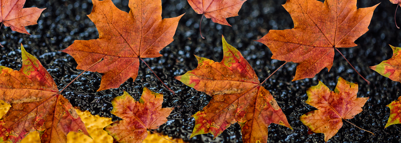 Winter-Proofing with GRP How Autumn Maintenance Can Prevent Costly Repairs